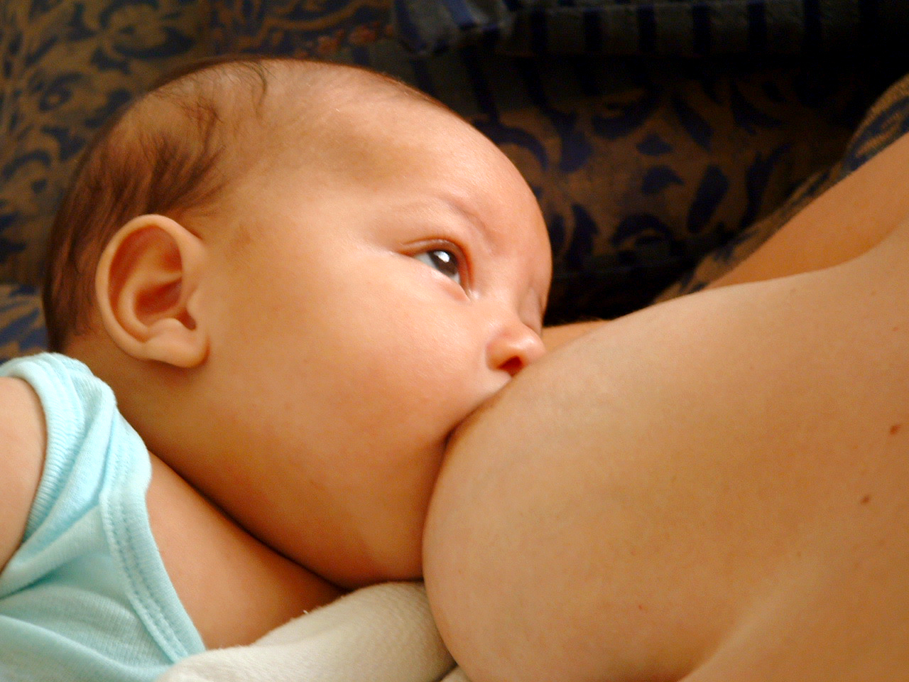 Embarazo durante la lactancia